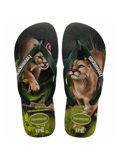 HAVAIANAS IPE Klapki oliwkowo-zielony - Buty uniseks