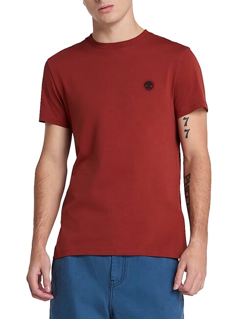 TIMBERLAND SS DUNRIVER CREW Koszulka bawełniana spalona henna - Koszulki męskie