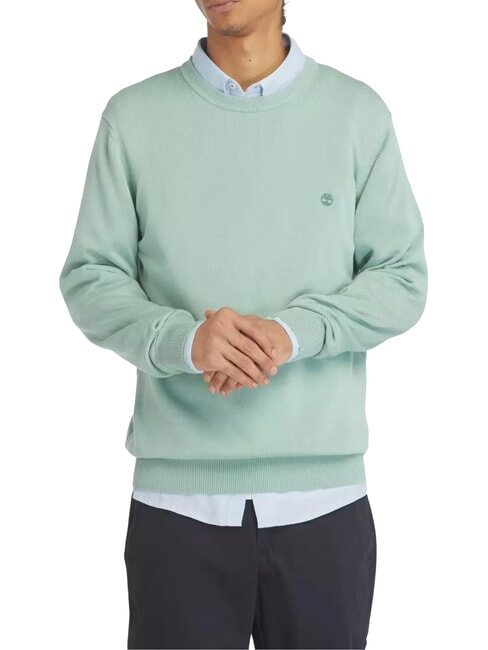 TIMBERLAND WILLIAMS RIVER Sweter z okrągłym dekoltem granit zielony - Bluzy męskie