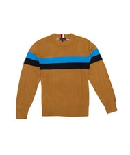 TOMMY HILFIGER TH Sweter z okrągłym dekoltem koniak / trzcina cukrowa mono - Koszulki męskie - 1