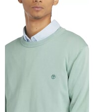 TIMBERLAND WILLIAMS RIVER Sweter z okrągłym dekoltem granit zielony - Koszulki męskie - 3
