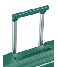 DELSEY SECURITECH DUNE Średni w&oacute;zek rozszerzalny iguana - W&oacute;zki twarde - 6