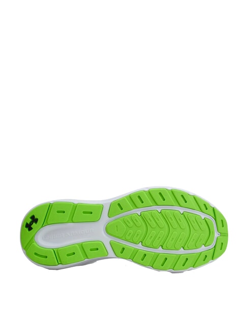 CHARGED ROGUE 5 Adidasy biały - Buty męskie