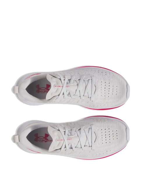 VELOCITI 4 Adidasy halo szary - Buty damskie