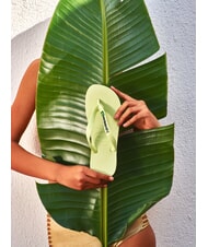 HAVAIANAS BRASIL LOGO Klapki  zielona matcha - Buty uniseks - 4