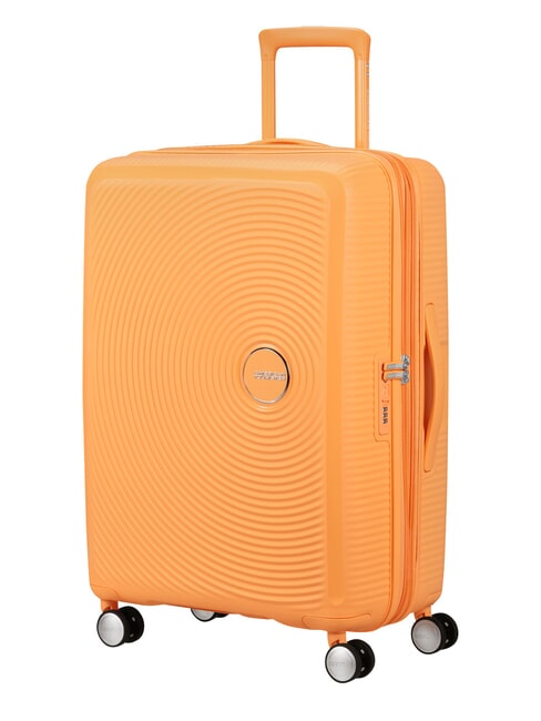SOUNDBOX SPINNER W&oacute;zek średni, rozszerzalny papaja pop - W&oacute;zki twarde