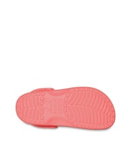 CROCS CLASSIC SABOT U Sandał   guawa - Buty uniseks - 5