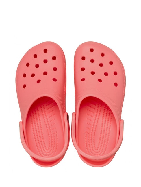 CLASSIC SABOT U Sandał   guawa - Buty uniseks